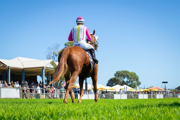2019 Cup Day - GeraldtonCupDay_2019_050