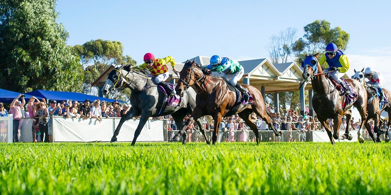 2019 Cup Day - GeraldtonCupDay_2019_095
